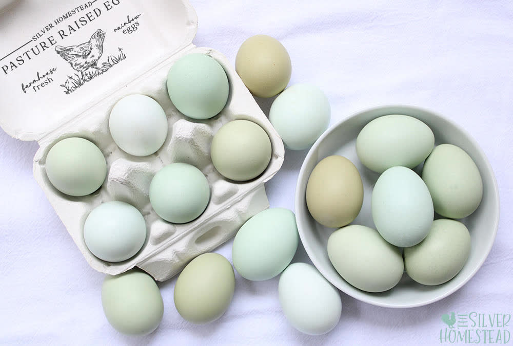 Carton of pastel blue and green heritage eggs